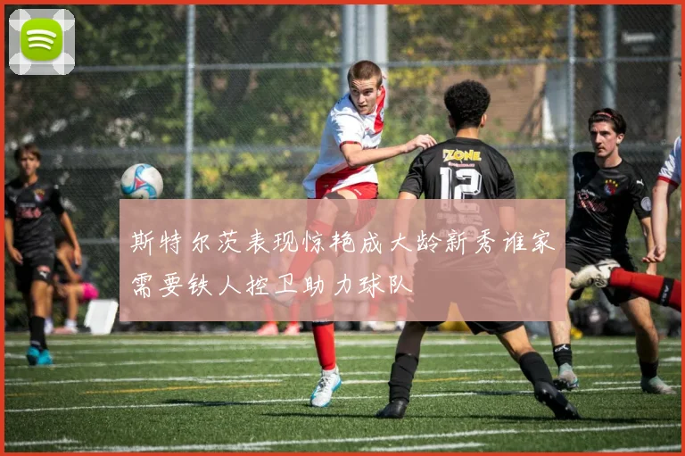 斯特尔茨表现惊艳成大龄新秀谁家需要铁人控卫助力球队