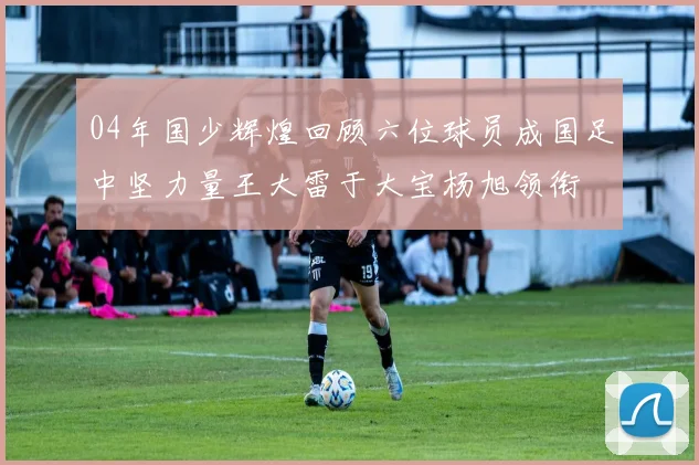 04年国少辉煌回顾六位球员成国足中坚力量王大雷于大宝杨旭领衔